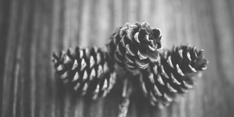 Graphic Design Software Bundle：一站式视觉套件如何赋能中小电商品牌突围