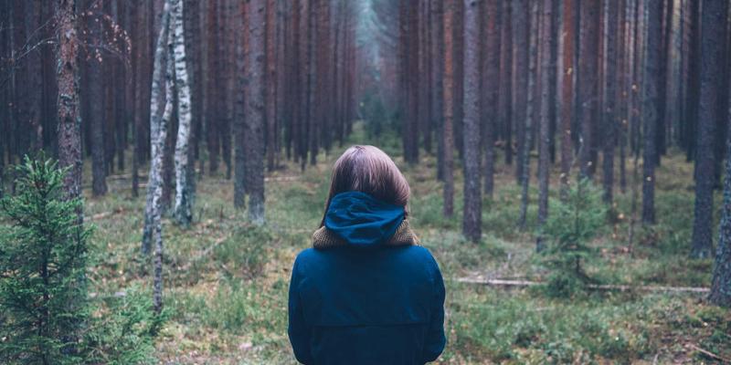 Visual Suite3：释放创意潜能的一站式设计与数字资产管理平台