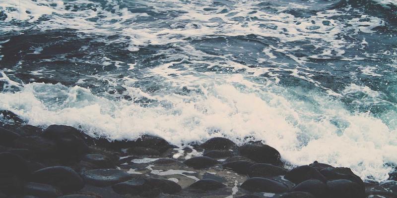 Visual Suite 41：释放模板与数字资产的创意潜能，重塑数字内容创作流程