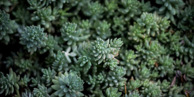 Visual Suite 46:释放创意潜能的终极设计与模板资源库