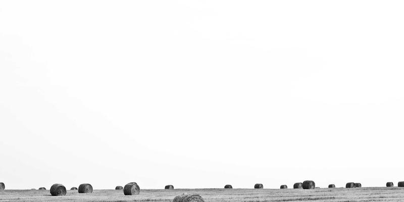 Visual Suite 50：释放创意潜能的终极软件套装与数字资产库