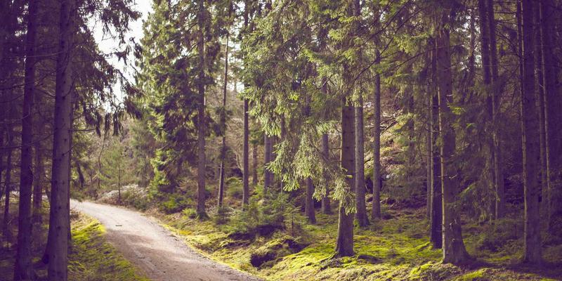 Visual Suite 65:解锁专业设计的终极资源库与模板引擎