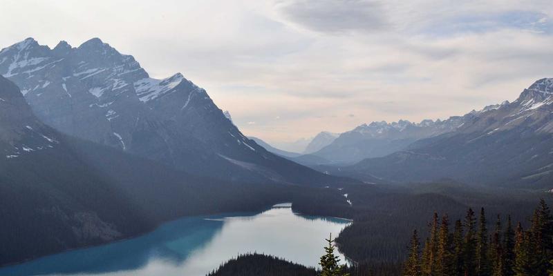 Visual Suite73: 新一代创意工具如何重塑数字资产管理