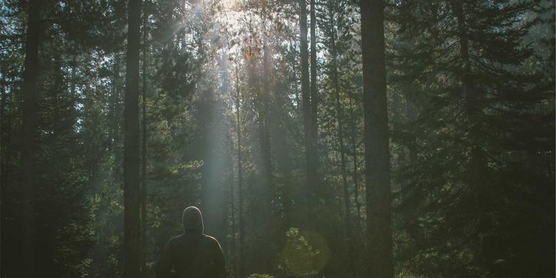 Visual Suite86: The Ultimate Hub for Graphic Design and Creative Tools