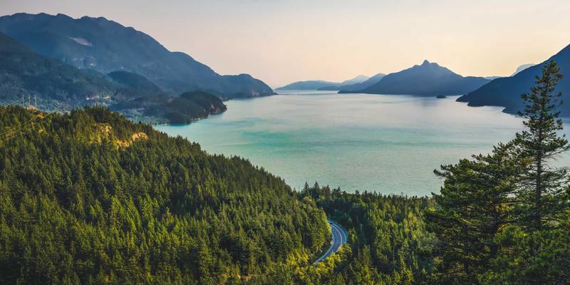 Visual Suite 91：重新定义创意工作流的全方位设计资源与工具套件