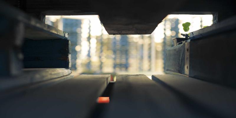 Visual Suite完全攻略：高效管理Digital Assets与活用Templates的终极指南