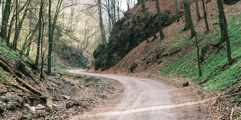 从独立工具到一体化平台：视觉套件进化的商业驱动力与未来