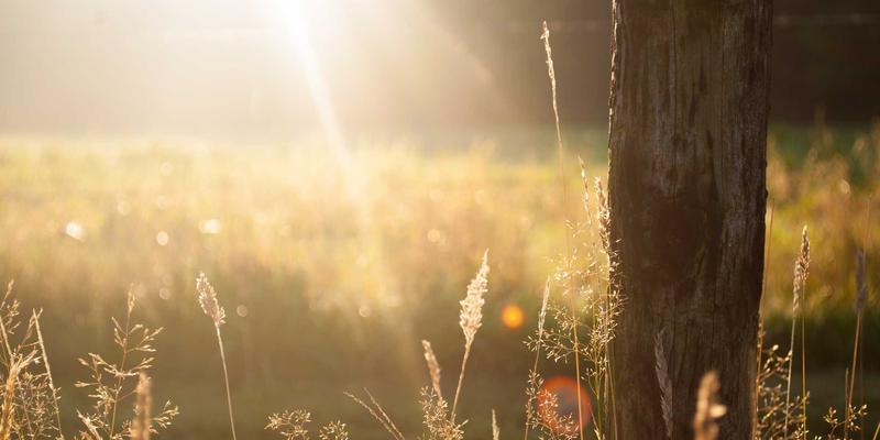 企业级视觉套件选型指南：如何基于安全、集成与可扩展性管理数字资产与模板