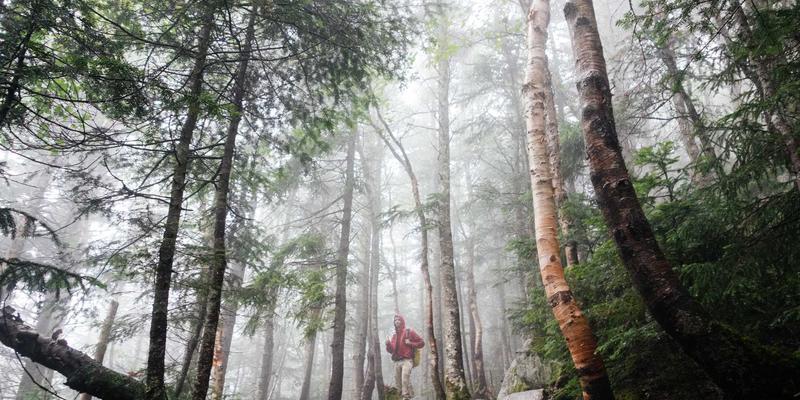 告别设计外包：非设计人员如何利用创意工具与数字资产快速产出高质量视觉物料