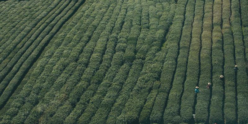 如何为营销团队选择最佳视觉套件：提升设计资源与数字资产管理效率