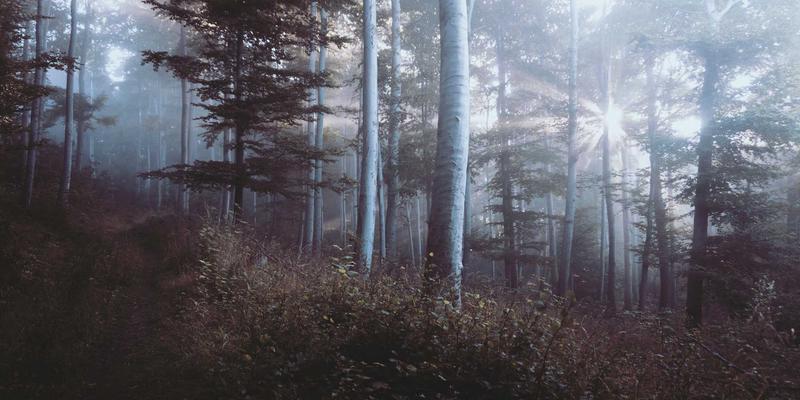 构建企业视觉设计规范与数字资产库：如何利用视觉套件（Visual Suite）提升品牌一致性与设计效率