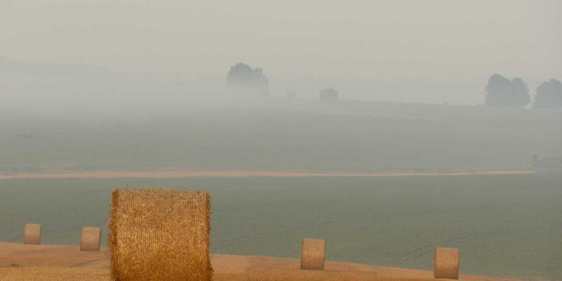 视觉创意工作流革命：2024年顶尖Visual Suite推荐与选型指南