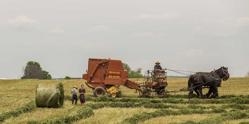 视觉套件革命：如何运用Design Resources与Templates提升社交媒体营销效能
