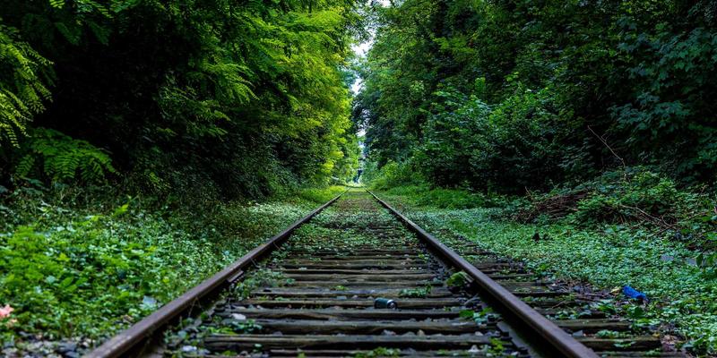 解锁创意潜能：如何利用Visual Suite的模板与创意工具实现高效视觉创作