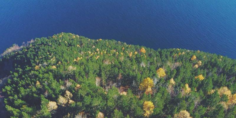 解锁创意潜能：视觉套件中的无障碍设计工具如何革新包容性内容创作