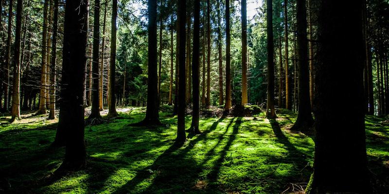 解锁品牌创造力：视觉套件如何赋能非设计人员创作合规的品牌内容